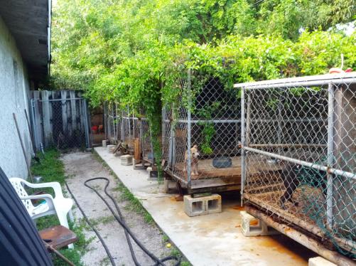SUPER KENNELS
